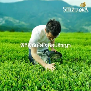 ICHITAN ชิซึโอกะ ชาเขียว สูตร No Sugar ไม่มีน้ำตาล กลิ่นมะลิ ขนาด 440 ml. 1 ลัง (24 ขวด) รวมจัดส่ง