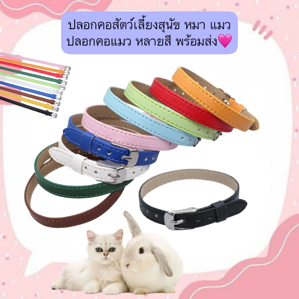 PP-545 ปลอกคอสัตว์เลี้ยง สำหรับแมว หมา สุนัข สีสันน่ารัก ปรับขนาดได้ พร้อมส่ง