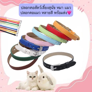 PP-545 ปลอกคอสัตว์เลี้ยง สำหรับแมว หมา สุนัข สีสันน่ารัก ปรับขนาดได้ พร้อมส่ง