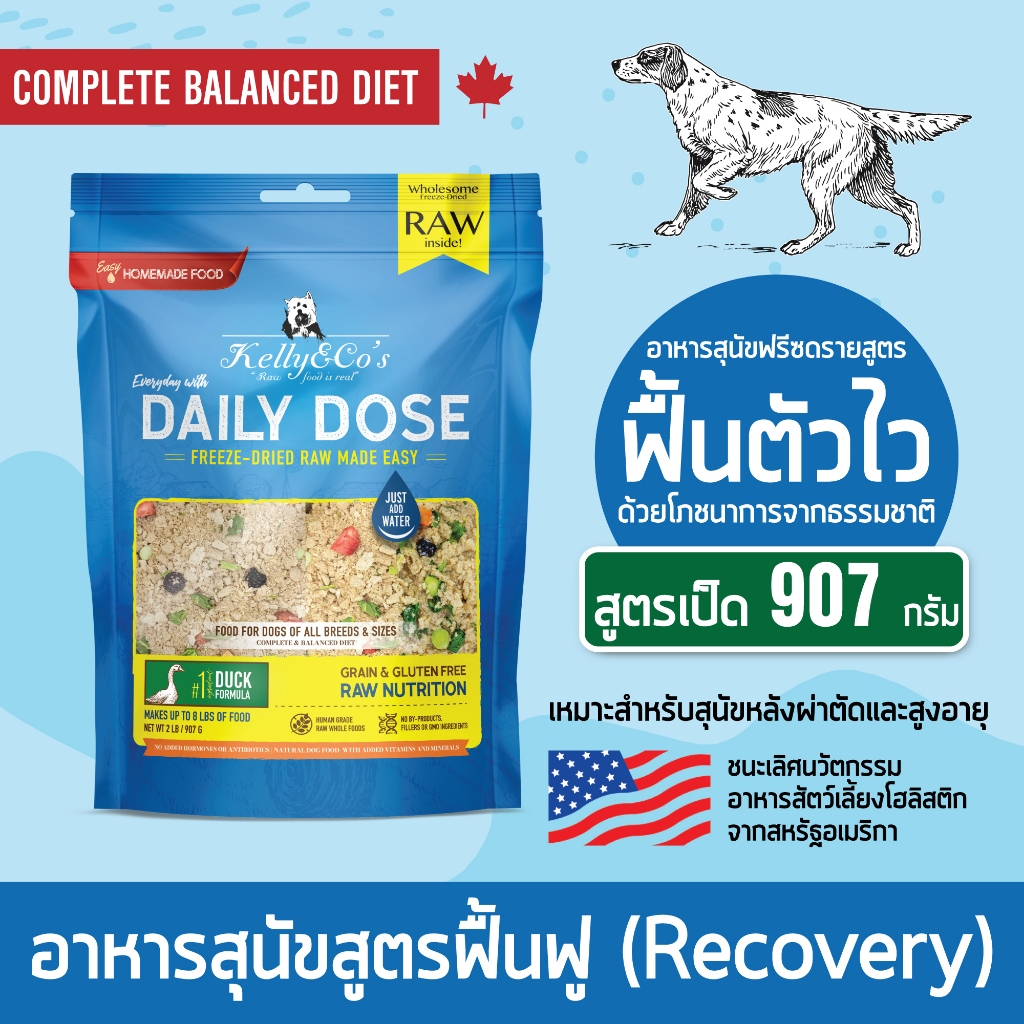 เคลลี่แอนด์โค เดลลี่โดส สูตรเป็ด อาหารฟรีซดรายที่มีโภชนาการครบถ้วน สำหรับสุนัขในช่วงพักฟื้น 907 กรัม