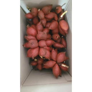 ส่งฟรี++>สละสุมาลี3kg___ผลไม้สดจากสวน<มีโปรส่งฟรี>#ฤดูกาลผลไม้