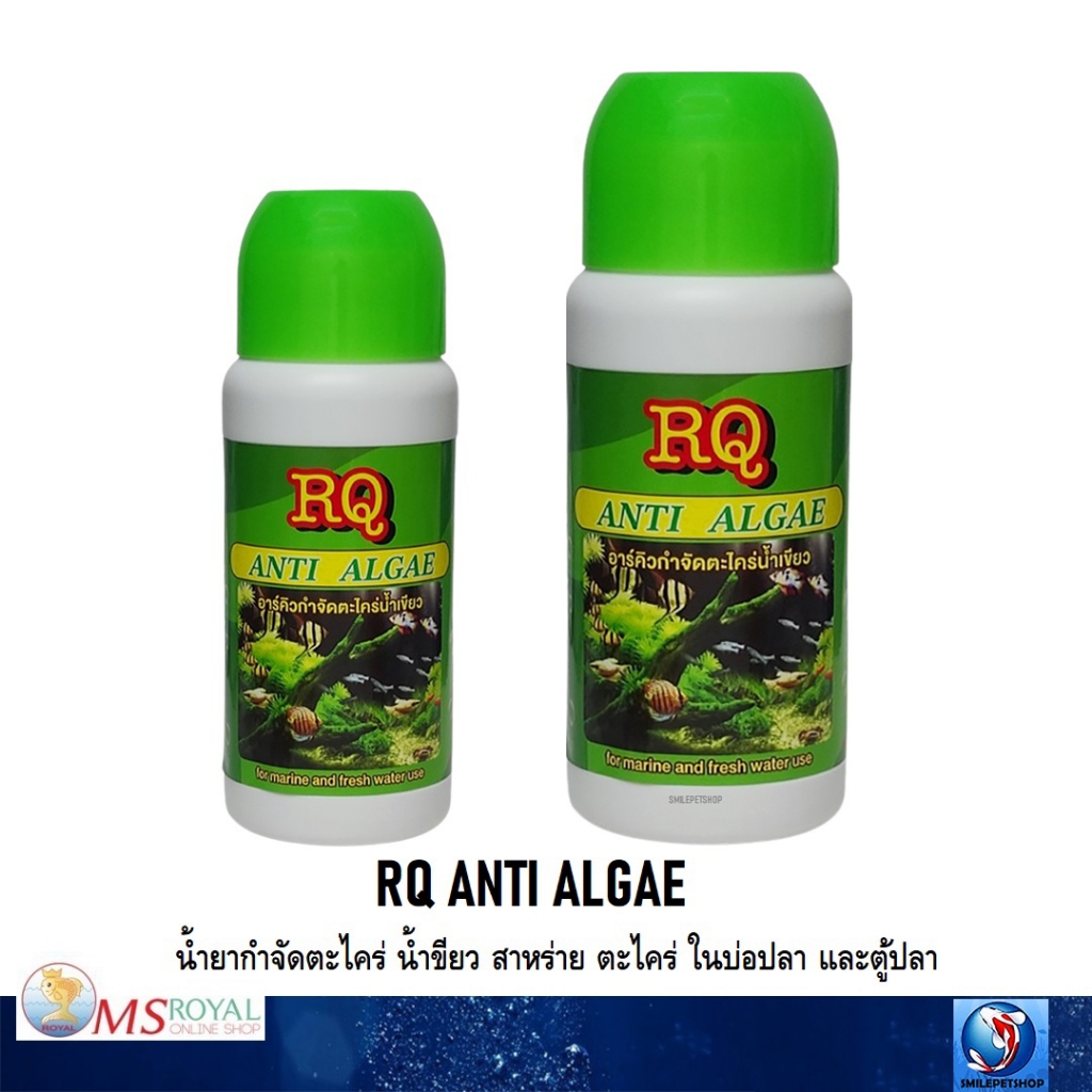 RQ ANTI ALGAE (น้ำยากำจัดตะไคร่ น้ำขียว สาหร่าย ตะไคร่ ในบ่อปลา และตู้ปลา)