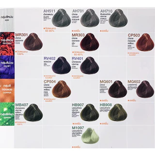 ดีแคช โปรเฟสชั่นนอล มาสเตอร์ คัลเลอร์ ครีมย้อมผม ครบทุกเฉดสี | DCASH