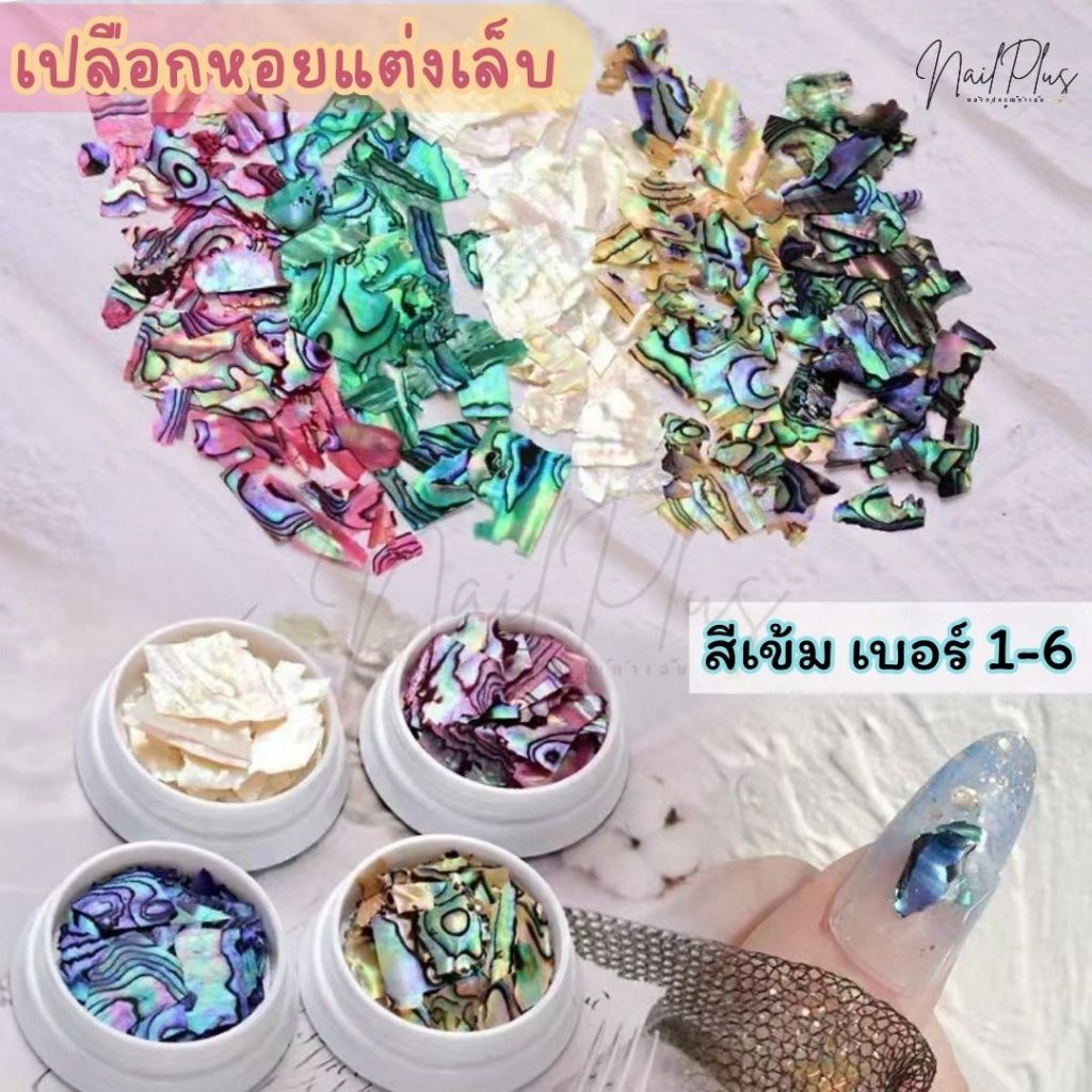 เปลือกหอย สีเข้ม ตลับเดี่ยว เปลือกหอยแต่งเล็บ หินแต่งเล็บ เบอร์ 1-6 (พร้อมส่ง)