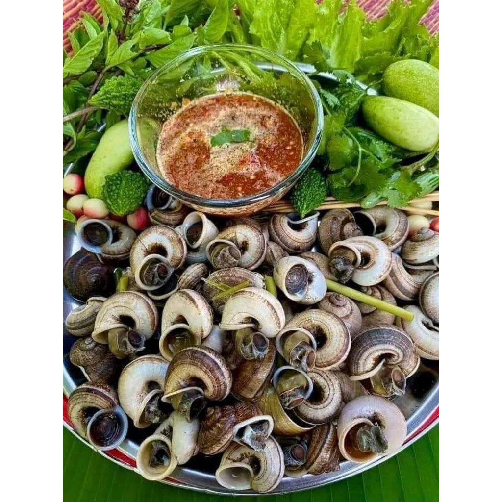 อาหารสด หอยหอมภูเขา (ไซส์ใหญ่1กิโล)
