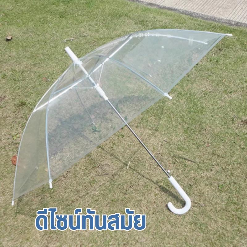 ร่มใส ร่มฝ้าทึบ สไตล์มินิมอล thumbnail 6