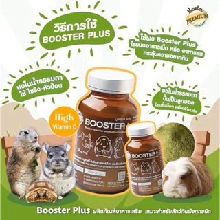 Master Premium Booster Plus ฟื้นฟูสุขภาพ เสริมสร้างการเจริญเติบโต สำหรับ แกสบี้ หนูตะเภา