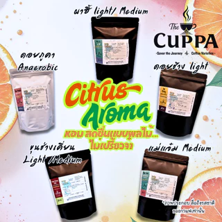 เดอะคัปป้า รวมกาแฟดริปแพค 10 ทุกดอย | The Cuppa Drip Coffee pack 10 collections