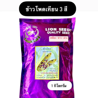 สิงโต เมล็ด ข้าวโพด ขาวปุ้มปุ้ย,เทียนดำ,ข้าวโพดเทียนม่วง-ขาว,เทียน3สี,เทียนเหลือง,เทียนขาว,แปดแถว,สวีท (1 กิโลกรัม)
