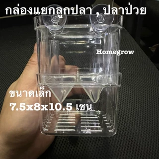 กล่องแยกปลา กล่องลูกปลา พร้อมส่ง