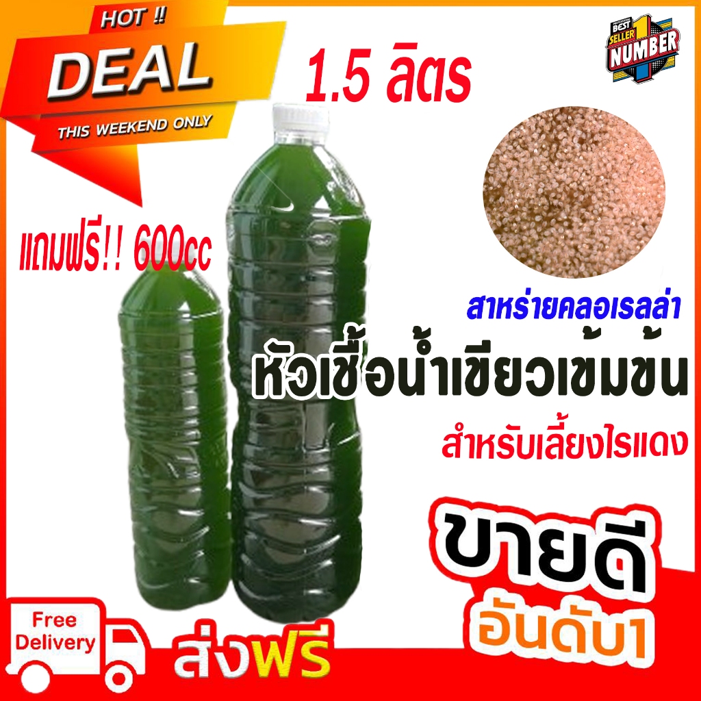 (1แถม1) หัวเชื้อน้ำเขียวเข้มข้น (สาหร่ายคลอเรลล่า) ซื้อ1.5 ลิตร 1 ขวด แถมฟรี!! 600ml 1 ขวด สำหรับเลี้ยงไรแดง