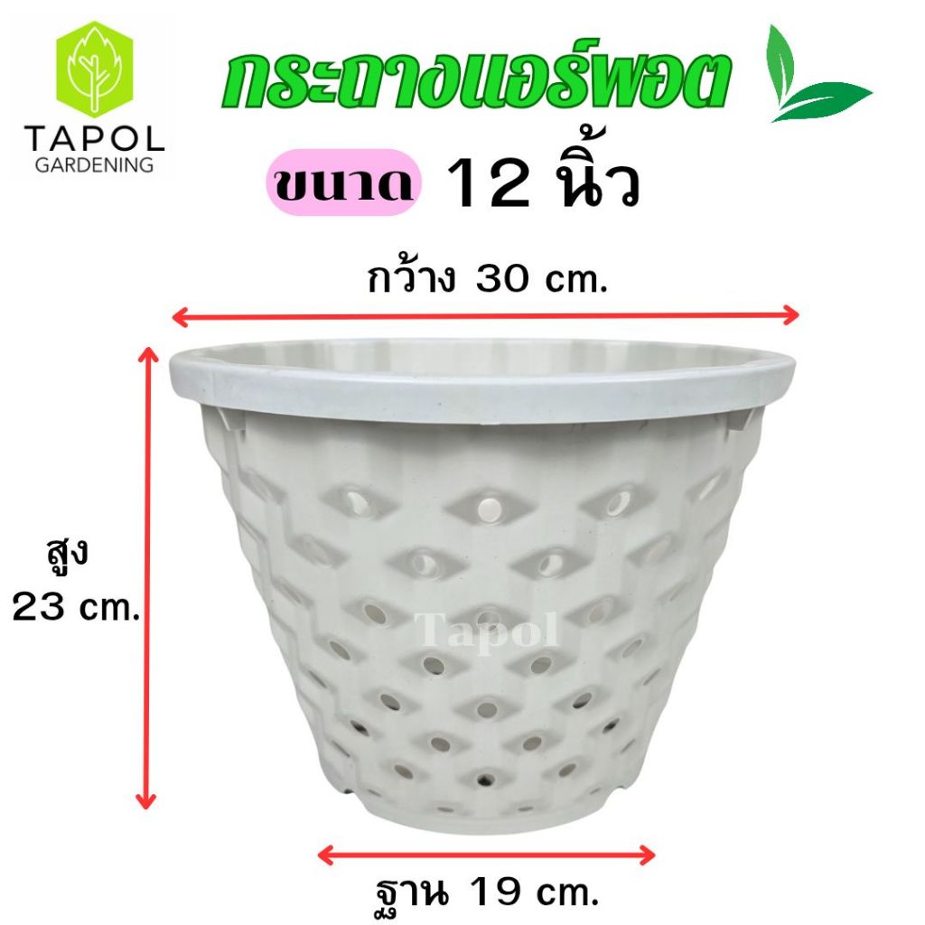 กระถางแอร์พอต ขนาด 9 นิ้ว / 12 นิ้ว กระถางระบายน้ำได้ดี รากแข็งแรง รากไม่เน่า พลาสติกคุณภาพดี ทนทาน น้ำหนักเบา ราคา ถูกที่สุด ดีลบีเคเค แกลเลอรีภาพที่ 4