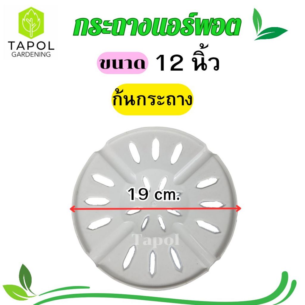 กระถางแอร์พอต ขนาด 9 นิ้ว / 12 นิ้ว กระถางระบายน้ำได้ดี รากแข็งแรง รากไม่เน่า พลาสติกคุณภาพดี ทนทาน น้ำหนักเบา ราคา ถูกที่สุด ดีลบีเคเค แกลเลอรีภาพที่ 7