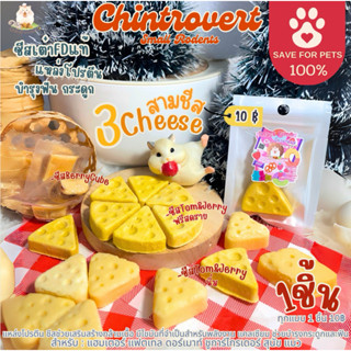 Chintrovert ✨| Mini 3 Cheese 3 ชีสจิ๋ว 🧀| แฮมเตอร์ แฟตเทล ดอ…
