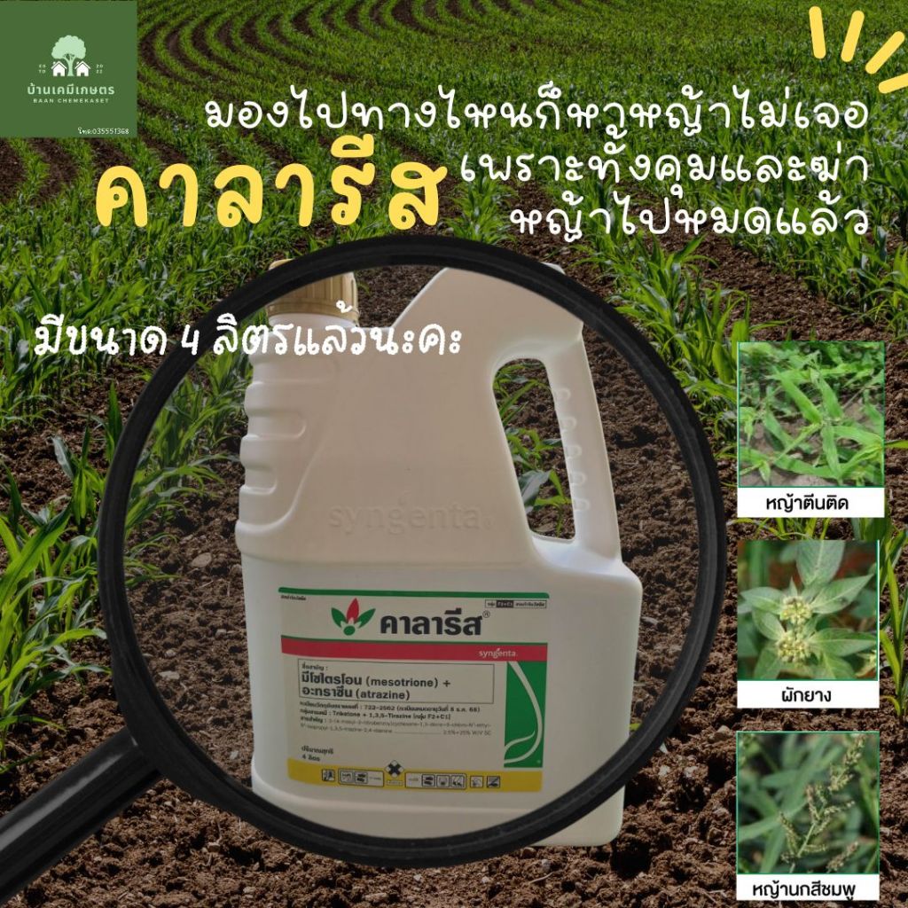 คาลารีส ขนาด 4 ลิตร  มีโซไตรโอน + อะทราซีน สารคุมและฆ่าหญ้าในข้าวโพดและอ้อย กำจัดวัชพืชใบแคบ และใบกว้าง