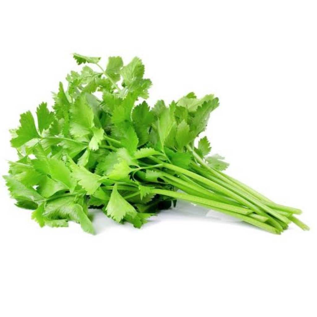 เมล็ดคื่นฉ่าย 500 เมล็ด เมล็ดตั้งโอ๋ เมล็ดผักสวนครัว