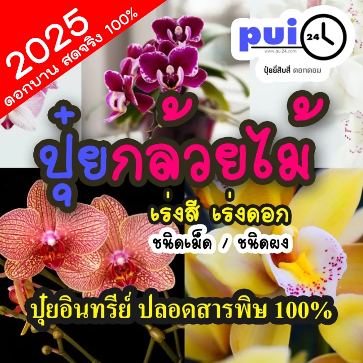 ปุ๋ยกล้วยไม้ ชนิดเม็ดละลายช้า/ชนิดผง สูตรปรุงพิเศษโดยเฉพาะ เร่งออกดอก เร่งสี บำรุงรากแข็งแรง ปุ๋ยอินทร์ 100%