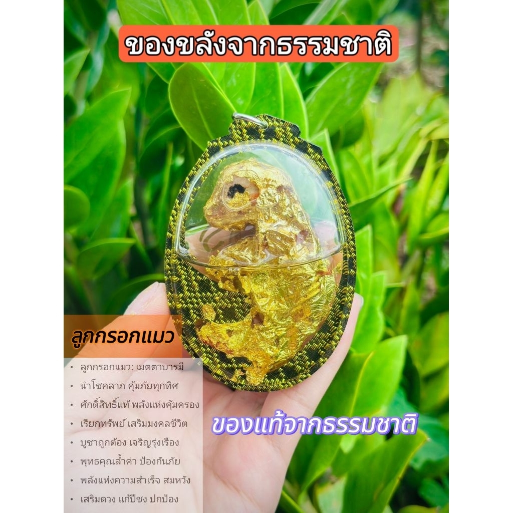 ลูกกรอกแมว: ของแท้หายาก พารวย พาดัง รวยไม่จน ราคาต่อชิ้น