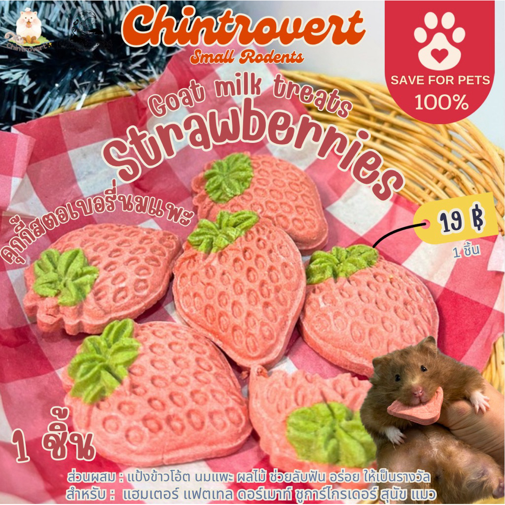 Chintrovert ✨| Cookies goat milk strawberry คุกกี้นมแพะสตอร์เบอรี่ 🍓| แฮมเตอร์ แฟตเทล ดอร์เมาท์ ชูการ์