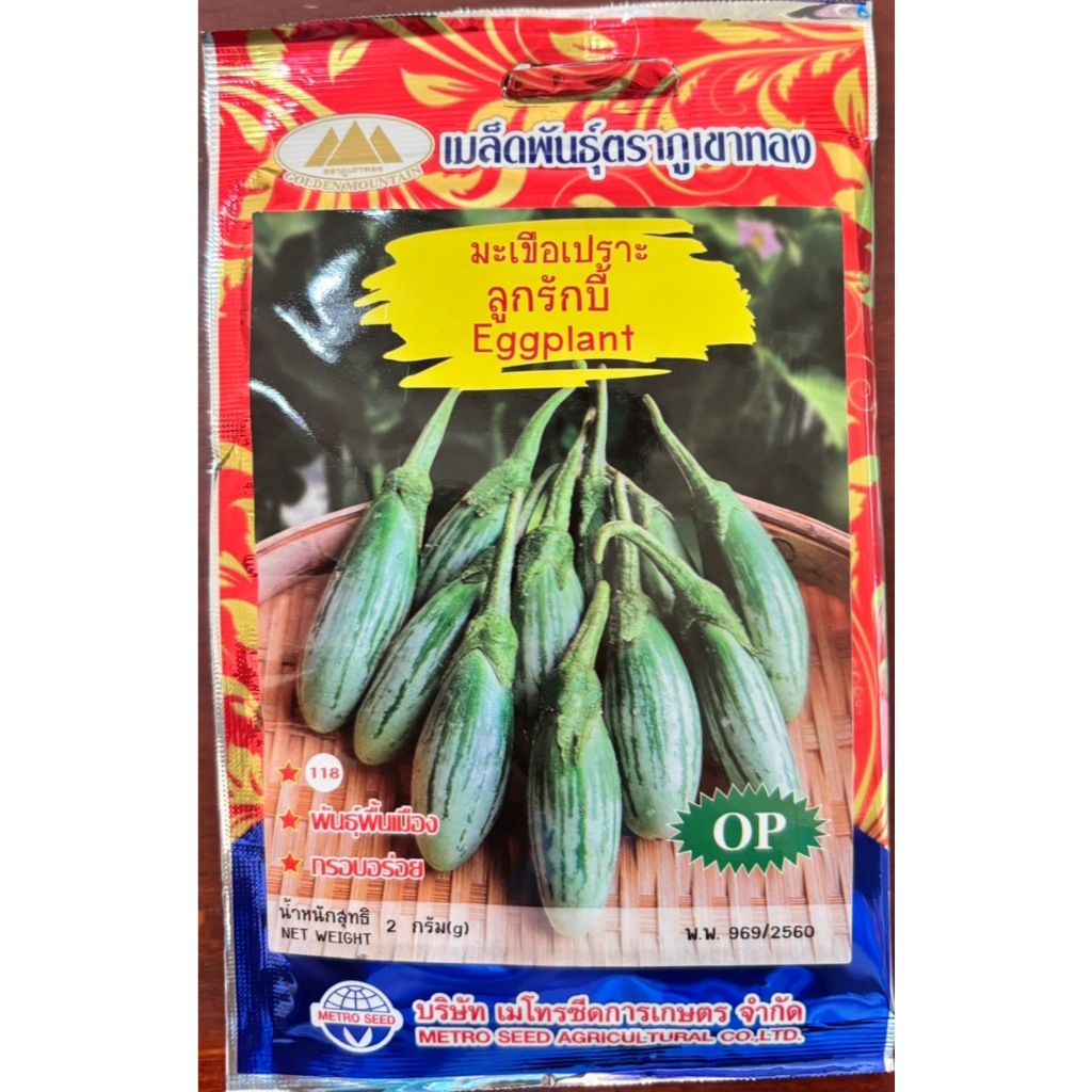 มะเขือเปราะ ลูกรักบี้ Eggplant – โปรปัง