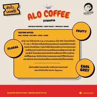 Cherrydog X Tamiru เมล็ดกาแฟพิเศษคั่วอ่อน Ethiopia Alo coffee Sidamo Bensa Bombe G1 Natural