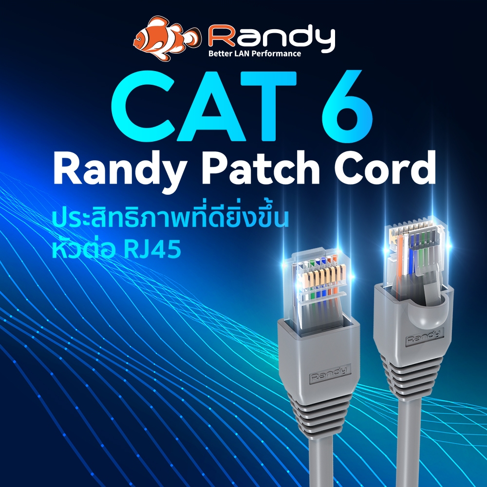 Randy สายแลน CAT6 CCA คุณภาพสูง พร้อมหัวRJ45 ยาวเต็มเมตร อินเทอร์เน็ตแรงWiFi 6 & 1Gbps เต็มสปีด คุ้ม