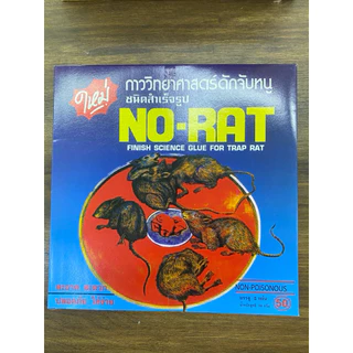 กาวดักหนูสำเร็จรูป แบบพร้อมถาด ยกกล่อง 12 ชิ้น(24ถาด) ตรา NO-RAT