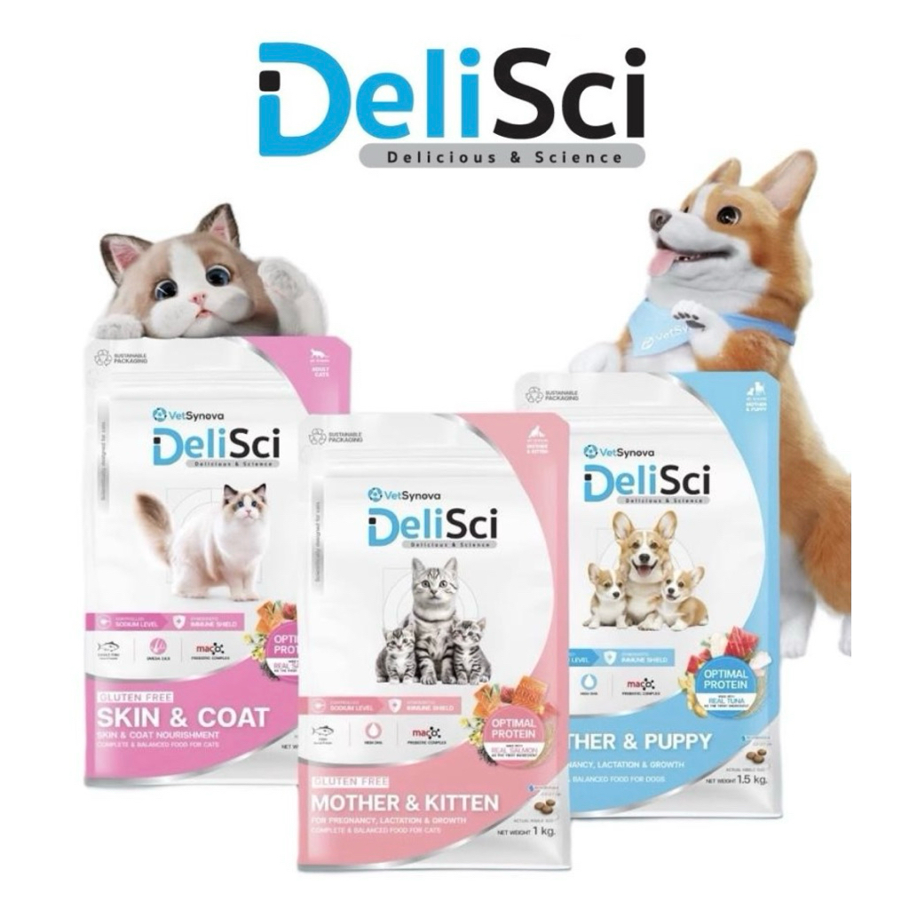 DeliSci Skin & Coat Cat Dry อาหารเม็ด สูตรบำรุงผิวหนังและเส้นขน 1 kg