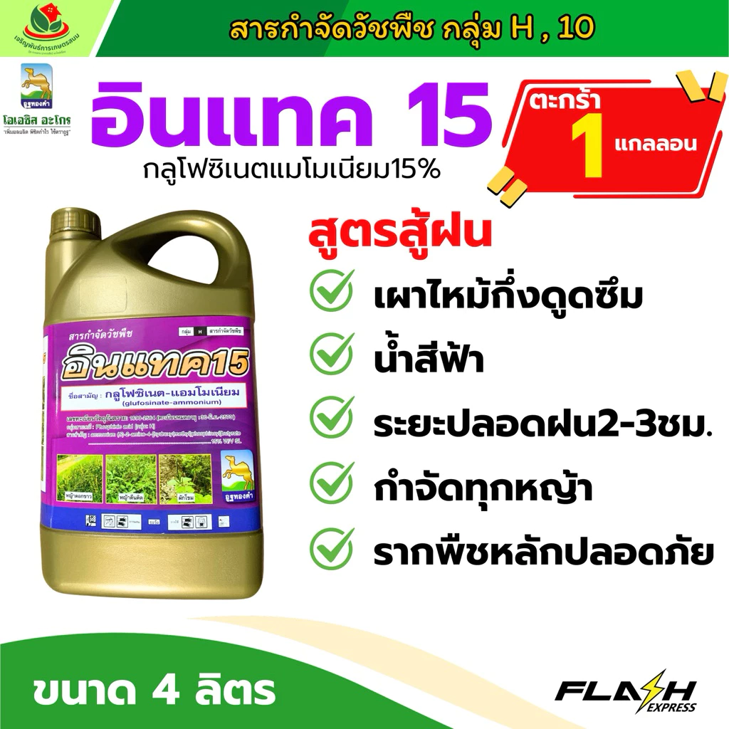 อินแทค15 กลูโฟซิเนต15%เต็ม ยาเผาไหม้ กำจัดทุกหญ้า ไม่เลือกทำลาย สารทดแทนพาราควอต กำจัดวัชพืชสวนทุเรียน ยาป้าย สเปรย์