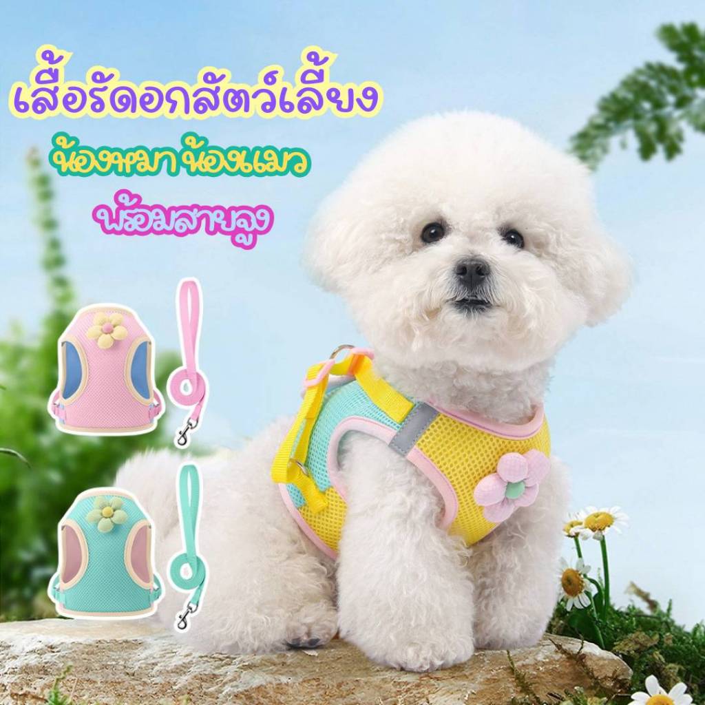 สายจูงหมา-แมว รุ่นผ้าตาข่าย ระบายอากาศดี ไม่ร้อน ไม่อึดอัด ไม่รัดคอ เหมาะกับอากาศร้อน