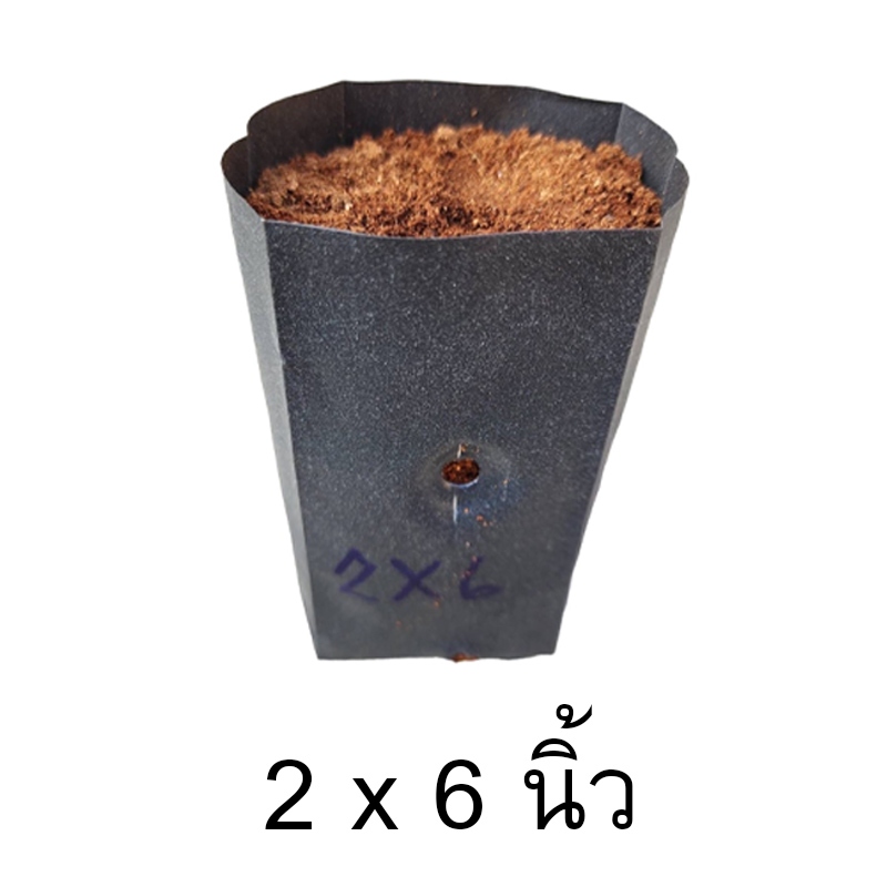 ถุงเพาะชำ  2x6  นิ้ว