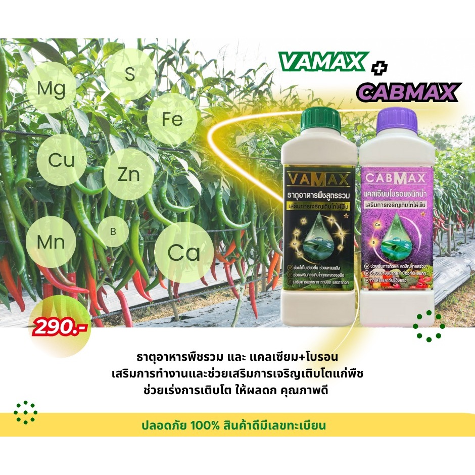 CABMAX แคลเซียมและโบรอนเข้มข้น + VAMAX ธาตุอาหารรวมเข้มข้น