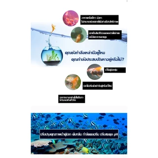 （COD）ไบโอบอลตู้ปลา 16/26/36มม. วัสดุกรอง Bio Ball แบบมีฟองน้ำ เพาะแบคทีเรีย กรองน้ำ บ่อกรอง ถังกรอง ตู้ปลา น้ำใส ใช้ง่าย