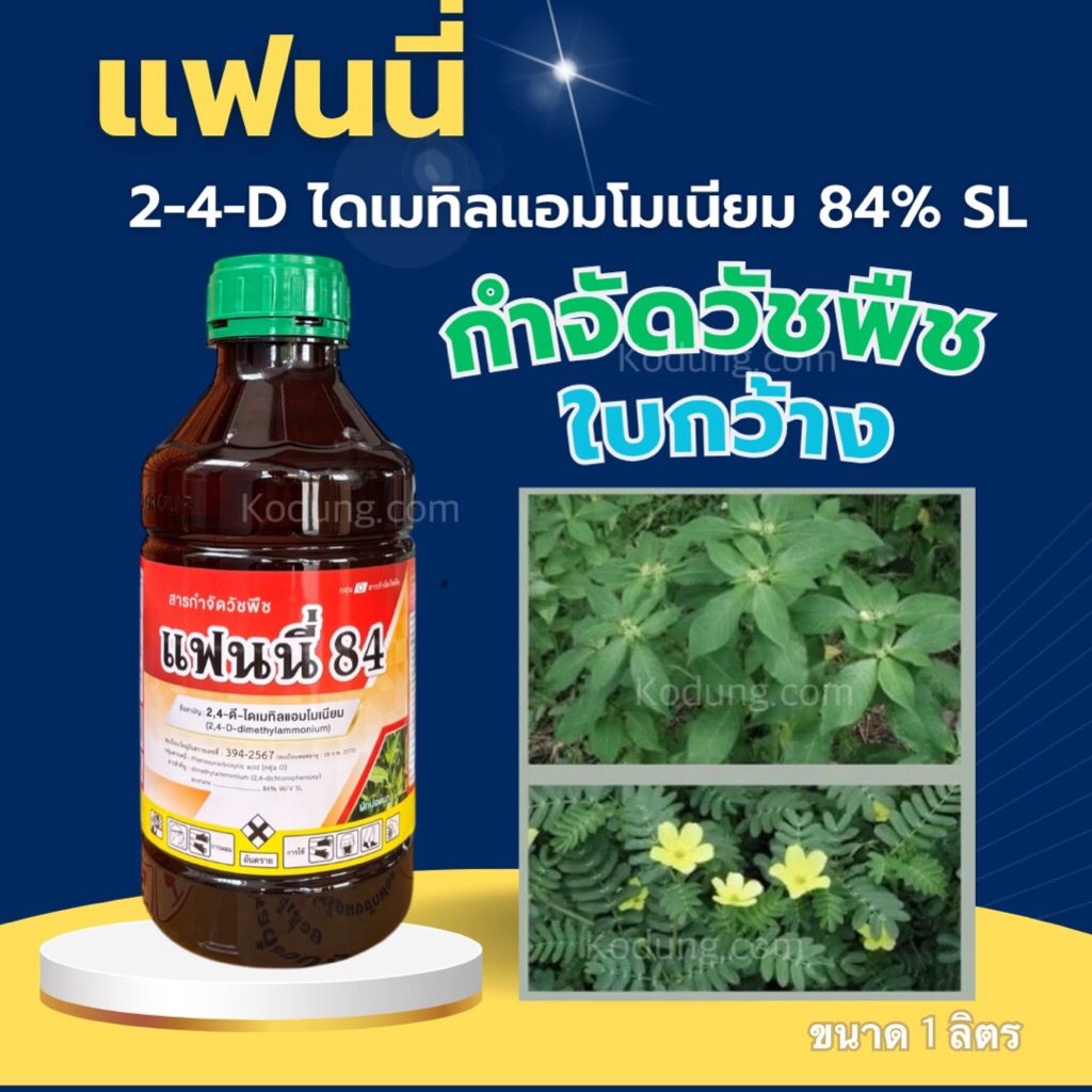 แฟนนี่ 2,4-ดี 24d ทูโฟดี กำจัดวัชพืชใบกว้าง #หมาแดง -1 ลิตร