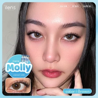 🔥คอนแทคเลนส์✨ขนาดมินิ✨Molly ( ilens )✨Brown/Gray
