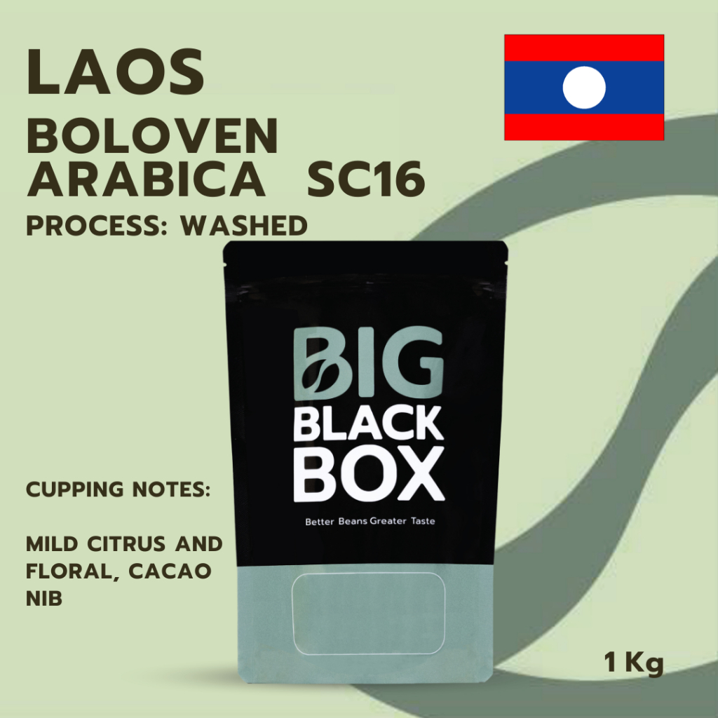 (11-AA-A2-C-W01) สารกาแฟ Laos Arabica BOLOVEN  SC16 Washed