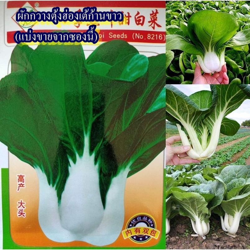 500+ เมล็ด เมล็ดผักกวางตุ้งฮ่องเต้ก้านขาว (ปลูกง่ายมาก รสชาติหวานกรอบอร่อยเหมือนก้านเขียว แต่กรอบกว่านิดหน่อย ใบสีเขียว)