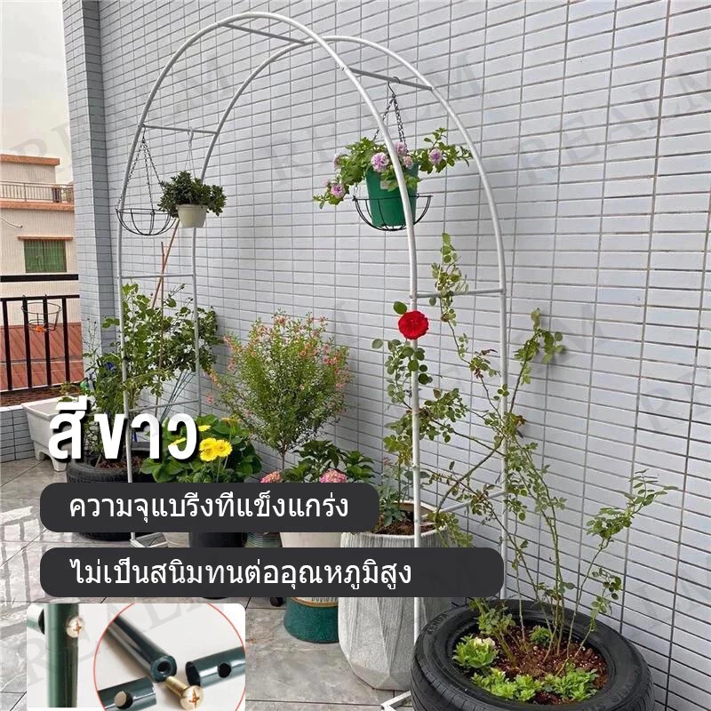 ซุ้มกุหลาบเลื้อย ซุ้มเหล็ก 13mm ของแต่งสวน งานแต่งงาน ประกอบได้ thumbnail 5