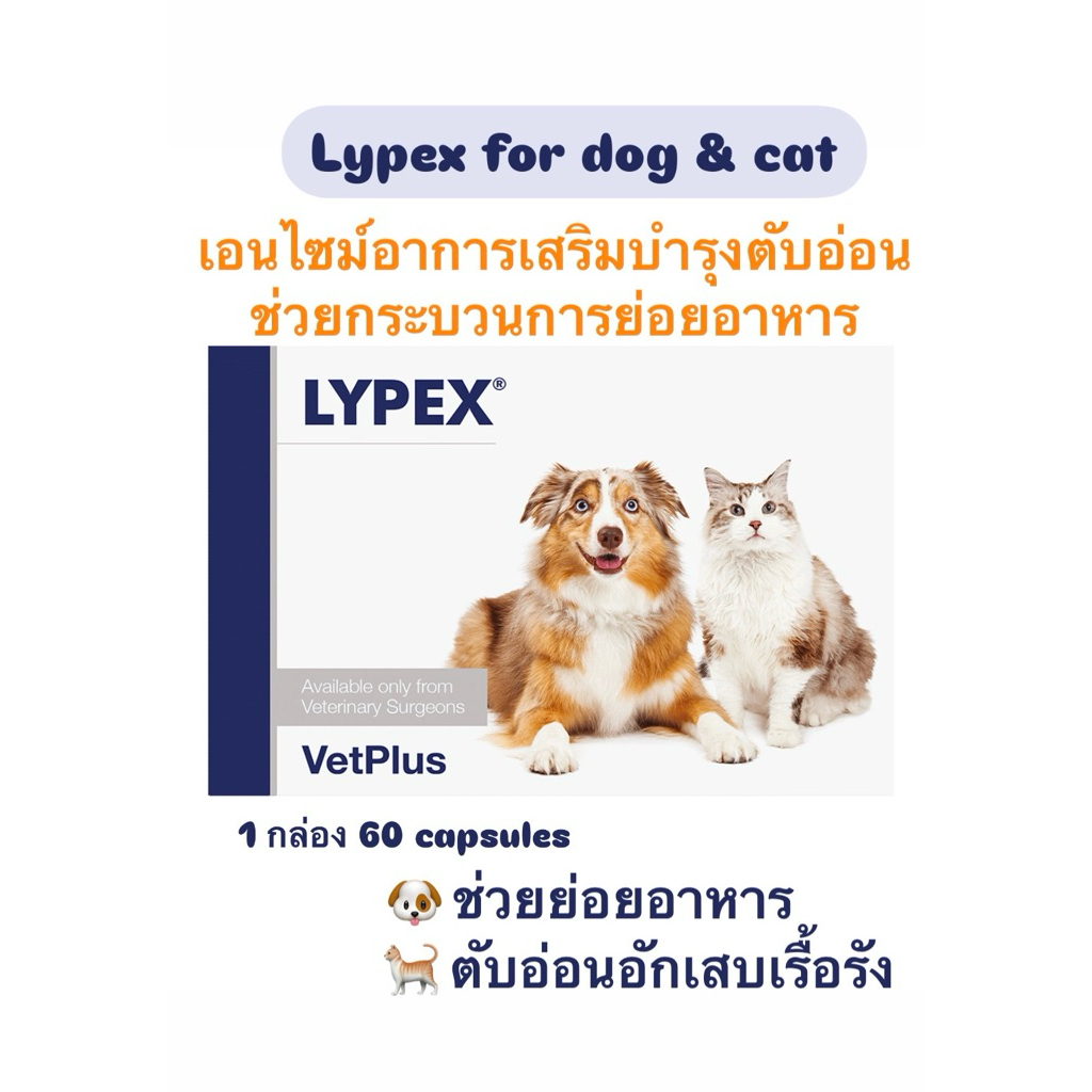 Pre-order Lypex for Dogs and Cats 60 cap exp11/26