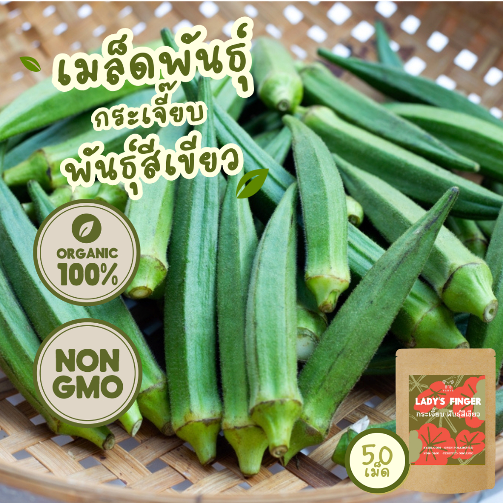 เมล็ดพันธุ์ กระเจี๊ยบ สีเขียว 100% ออร์แกนิค Non-GMO เกรดพรีเมี่ยม (Ladys Finger Okra Seeds) บรรจุ 50 เมล็ด