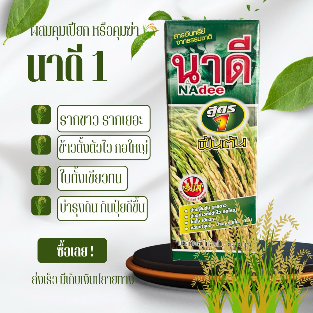นาดี สูตร1 ฟื้นต้น รากขาว ใบเขียว ใบตั้ง ตั้งตัวไว กอใหญ่ ขนาด 1 ลิตร ตราพระอาทิตย์ซันคร็อพ