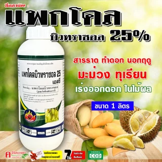 แพกโคลบิวทราซอล 25% ( 1 ลิตร ) แพคโคลบิวทราซอล สารราดมะม่วง ทุเรียน บังคับให้ออกดอก การทำไม้ผลนอกฤดู