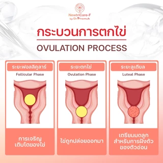 Newtricare by Dr.Pramuk นิวทีแคร์ ดร.ประมุข ปรับสมดุลฮอร์โมน บำรุงเลือดและระบบสืบพันธุ์ สำหรับชายและหญิง