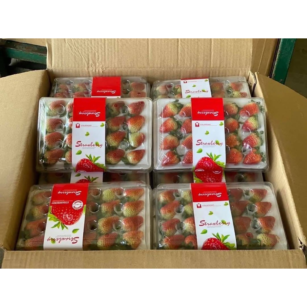สตอเบอร์รี่จีน บรรจุ 10 แพ็ค น้ำหนัก แพ็คละ 250g. สดใหม่ หวานฉ่ำๆ สตอเบอร์รี่ราคาส่ง Maryyypremiumfruits