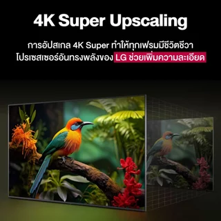 LG 65UA7350 Smart TV 65 นิ้ว 4K UHD webOS HDR10 Pro Netflix YouTube 2025 ประกันศูนย์ไทย Magic Remote