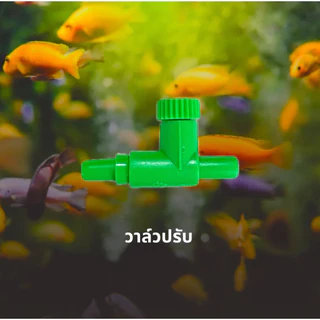 วาล์วปรับแรงดันลม วาล์วปรับลม วาล์วลม ตู้ปลา ข้อต่อออกซิเจนตู้ปลา ต่อตรง 3ทาง 4ทาง ปั้มออกซิเจนตู้ปลา สายออกซิเจน สายยาง