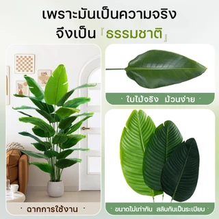 ☘️แถมฟรีหิน กระถาง🌿ต้นไม้ปลอมใหญ่ ต้นไม้ปลอม สูง95ซม24ใบไม้ สไตล์นอร์ดิก ในบ้าน ความจำลอง 99% ราคาถูกที่สุด