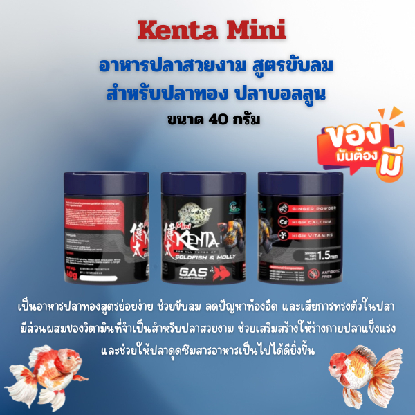 Kenta Mini  อาหารปลาสวยงามสูตรขับลม ขนาดมินิ (40 กรัม ) (ปลาทอง ปลาบอลลูนทานได้)