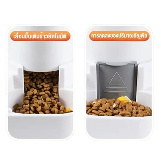 ที่ให้อาหารแมวอัตโนมัติ ชามอาหารแมว ที่ให้อาหารสัตว์เลี้ยง ที่ให้น้ำสัตว์เลี้ยง ความจุขนาดใหญ่ ที่ให้อาหารอัตโนมัติ