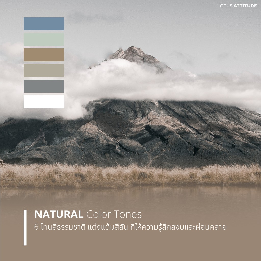 ผ้านวมเย็บติด Lotus Attitude Norden Collection ทอ990เส้น - รูปที่ 2